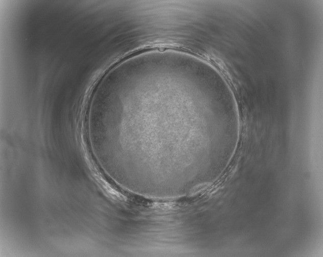 X0000069400145200605121224