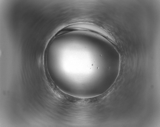 X0000069400148200605121224
