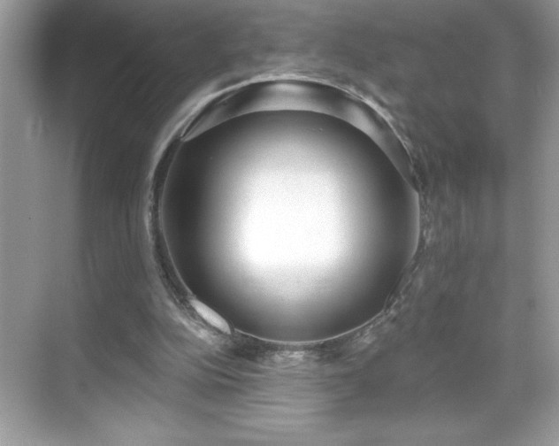 X0000069400152200605121224