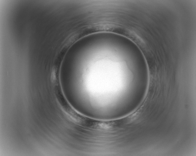 X0000069400166200605121224