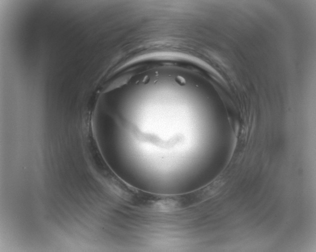 X0000069400168200605121224