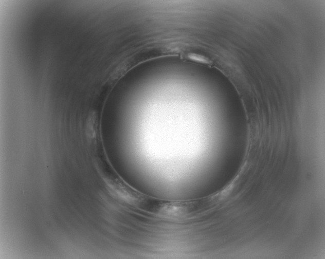 X0000069400174200605121224