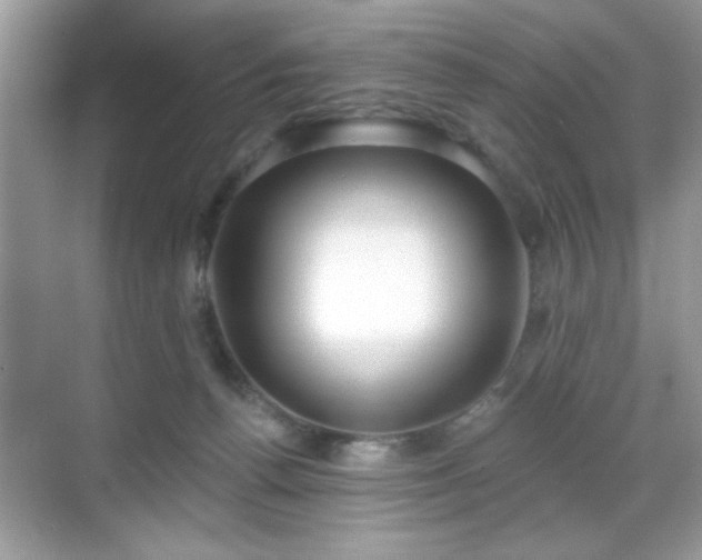 X0000069400176200605121225