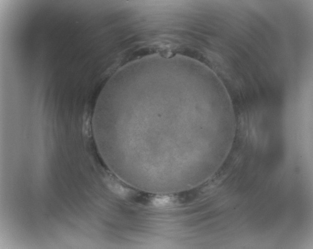 X0000069400177200605121225