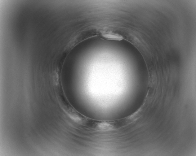 X0000069400183200605121225