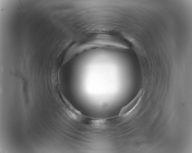 X0000069400192200605121225