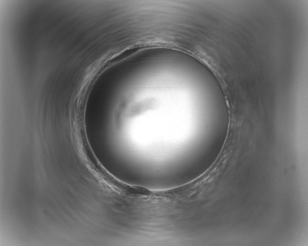 X0000069400193200605121224