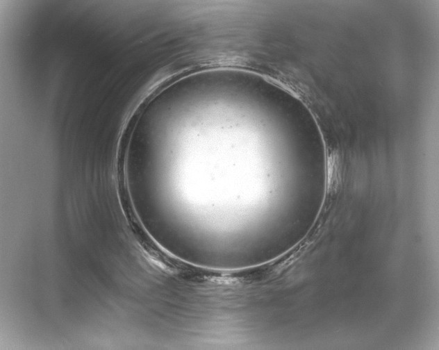 X0000069400195200605121224