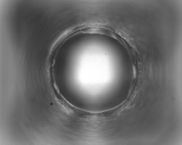 X0000069400197200605121224