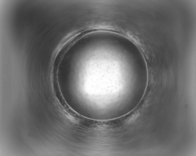 X0000069400199200605121224