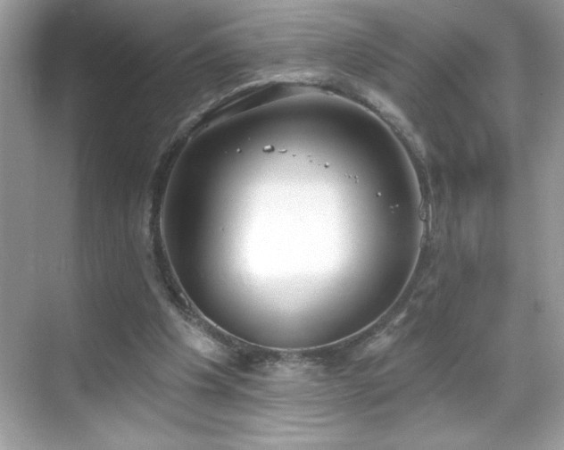 X0000069400201200605121224
