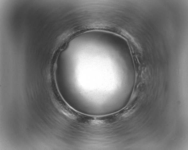 X0000069400203200605121224