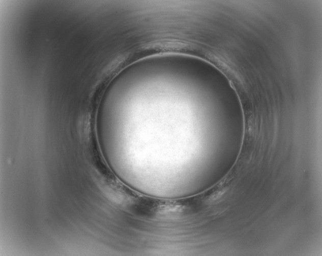 X0000069400206200605121224