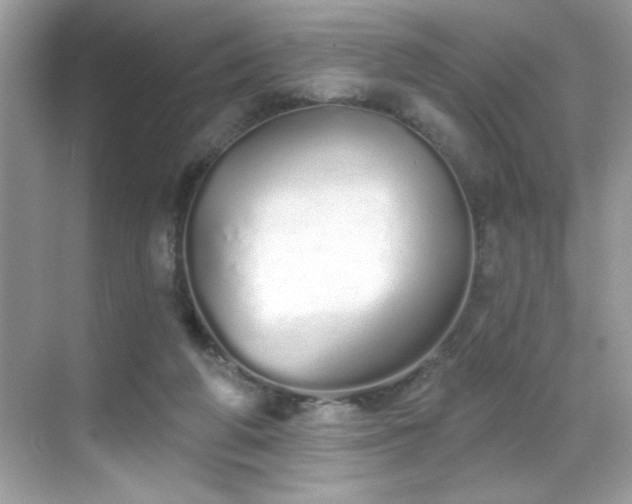 X0000069400210200605121224