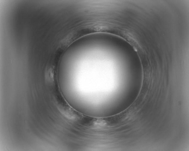 X0000069400214200605121224