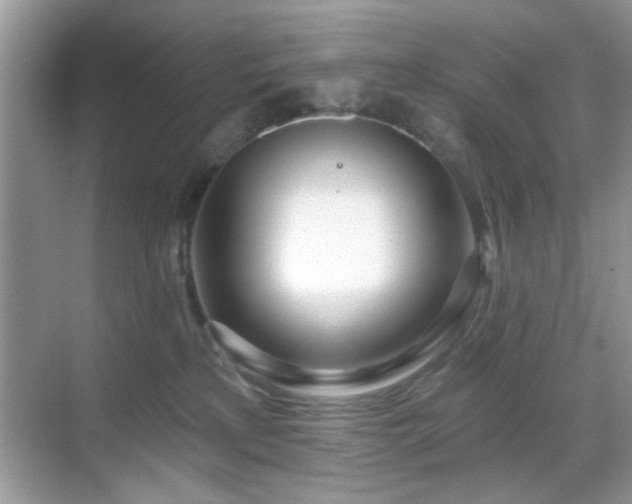 X0000069400233200605121223