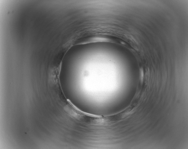 X0000069400237200605121223