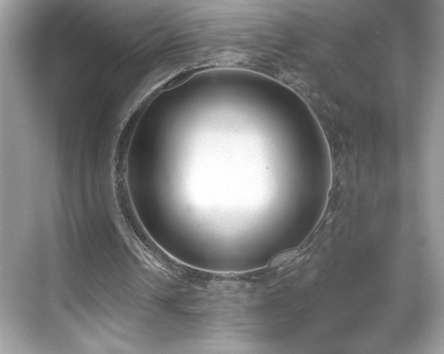 X0000069400242200605121222