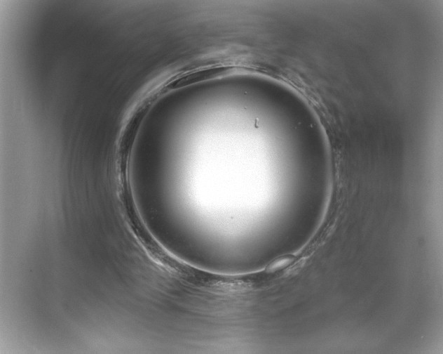 X0000069400245200605121222