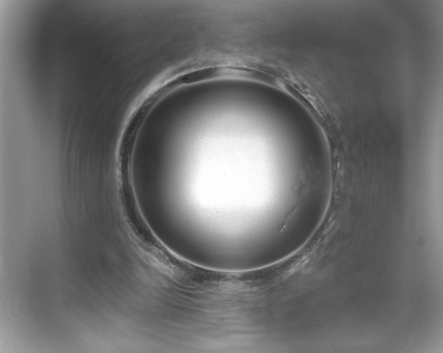 X0000069400246200605121222