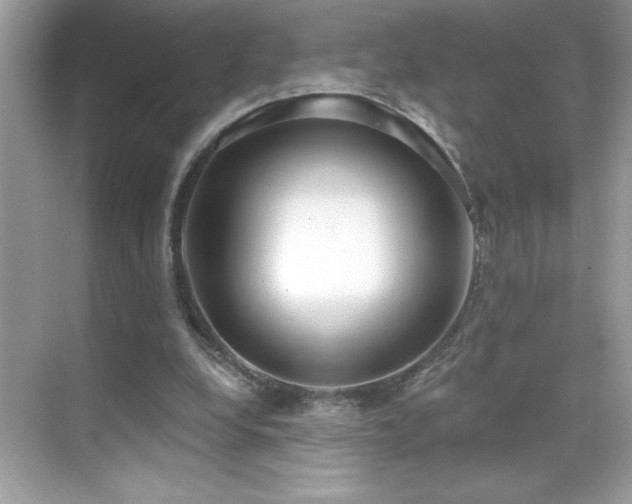 X0000069400248200605121223