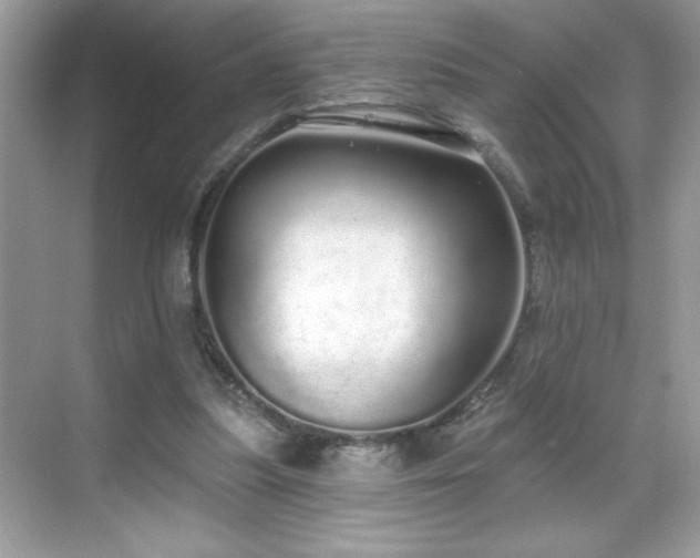 X0000069400251200605121223