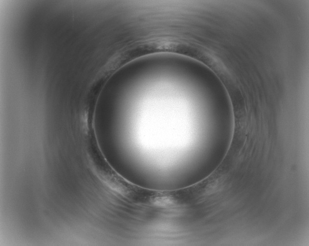 X0000069400262200605121223