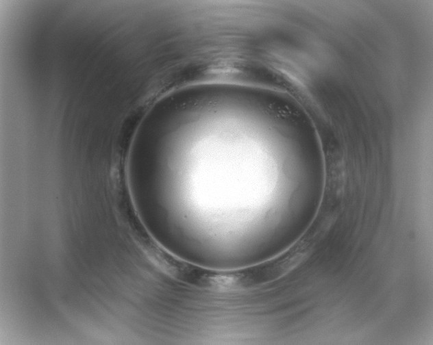 X0000069400265200605121223