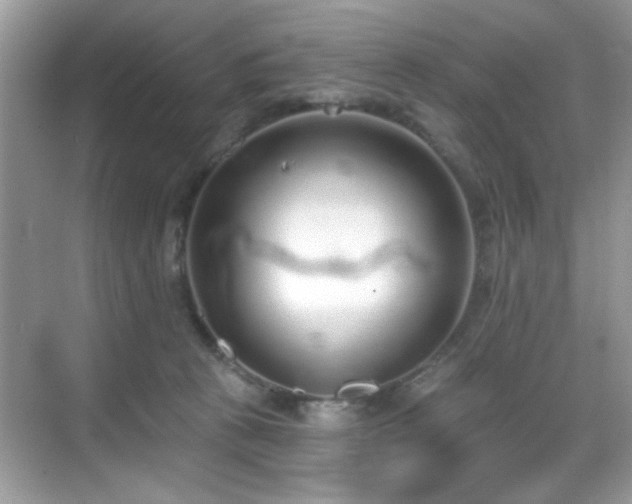 X0000069400273200605121223