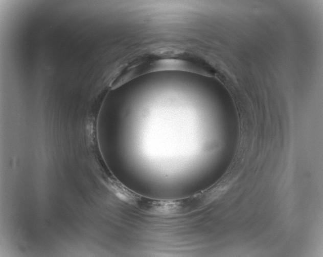 X0000069400288200605121223