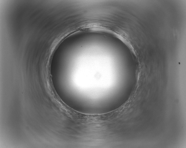X0000069400289200605121222
