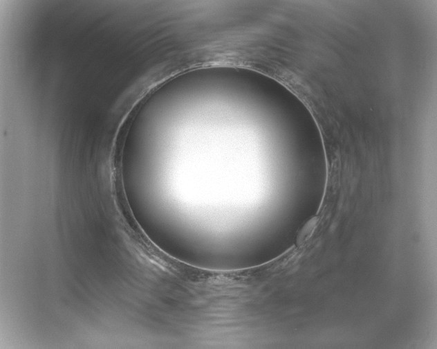 X0000069400290200605121222