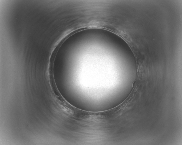 X0000069400292200605121222