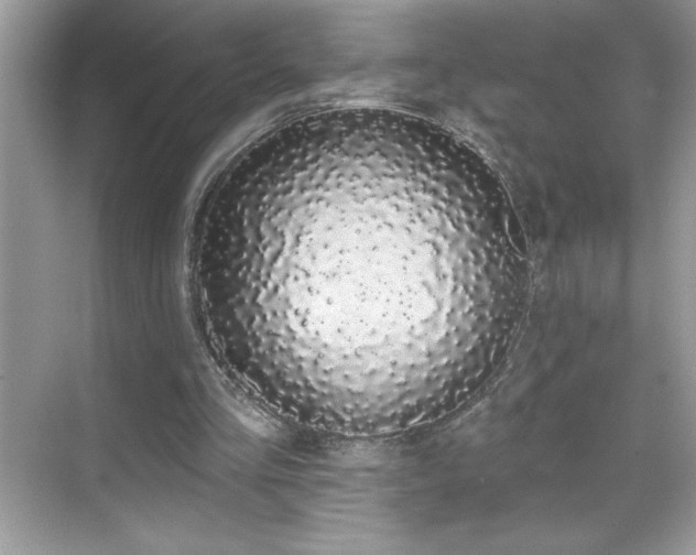 X0000069400293200605121222