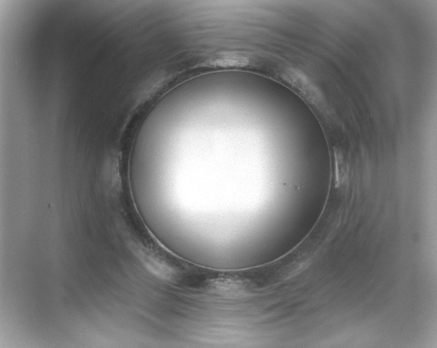 X0000069400300200605121222