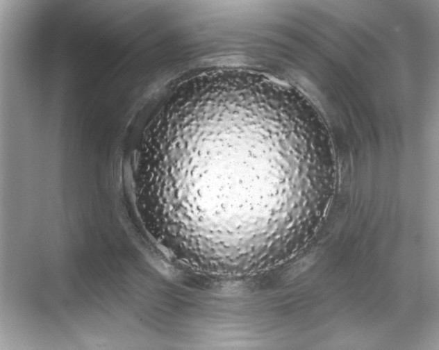 X0000069400301200605121222