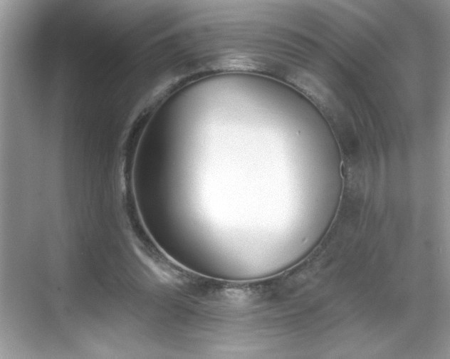 X0000069400302200605121222