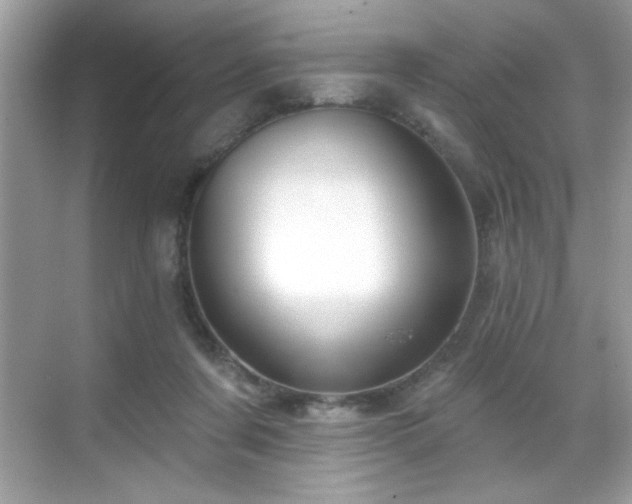 X0000069400311200605121222
