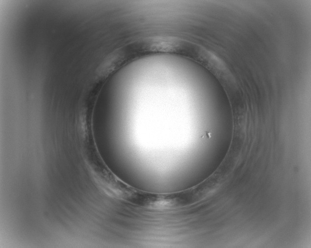 X0000069400312200605121222