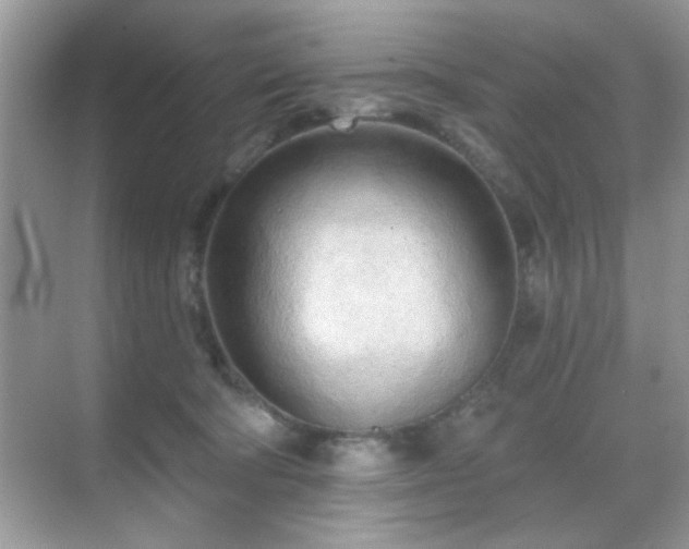 X0000069400322200605121222