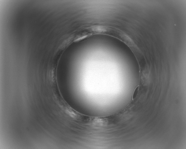 X0000069400330200605121222