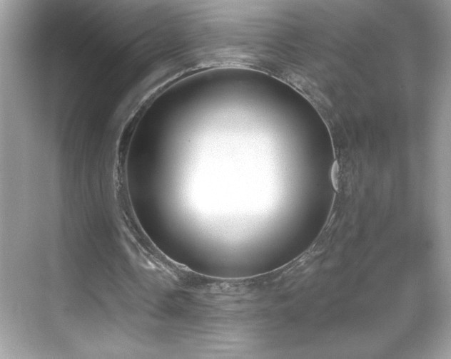 X0000069400338200605121221