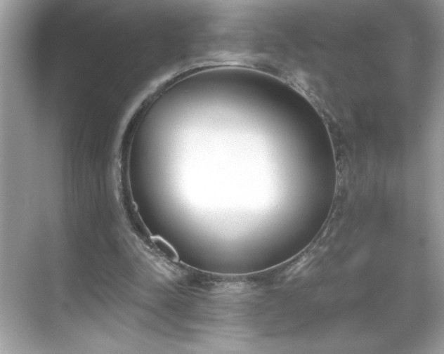 X0000069400342200605121221