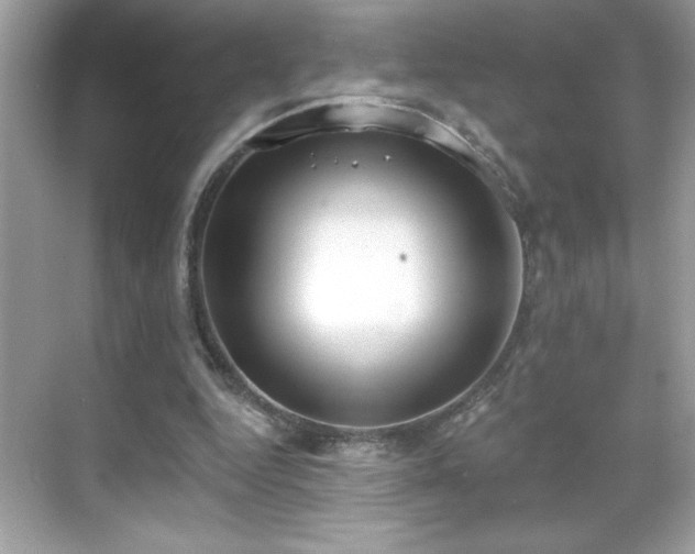 X0000069400344200605121221