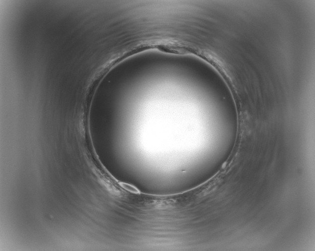 X0000069400345200605121221