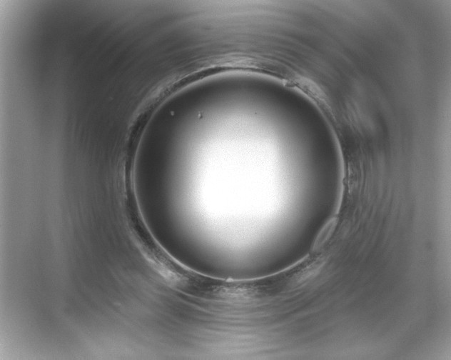 X0000069400349200605121221