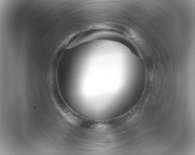 X0000069400352200605121221