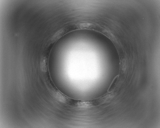 X0000069400378200605121221