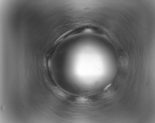 X0000069400380200605121221
