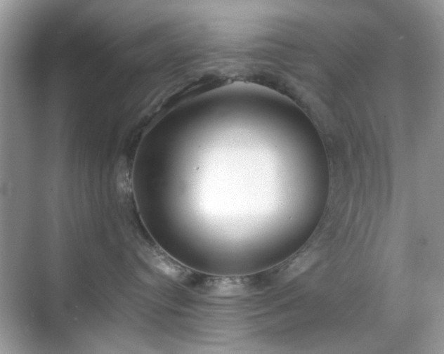 X0000069400384200605121222